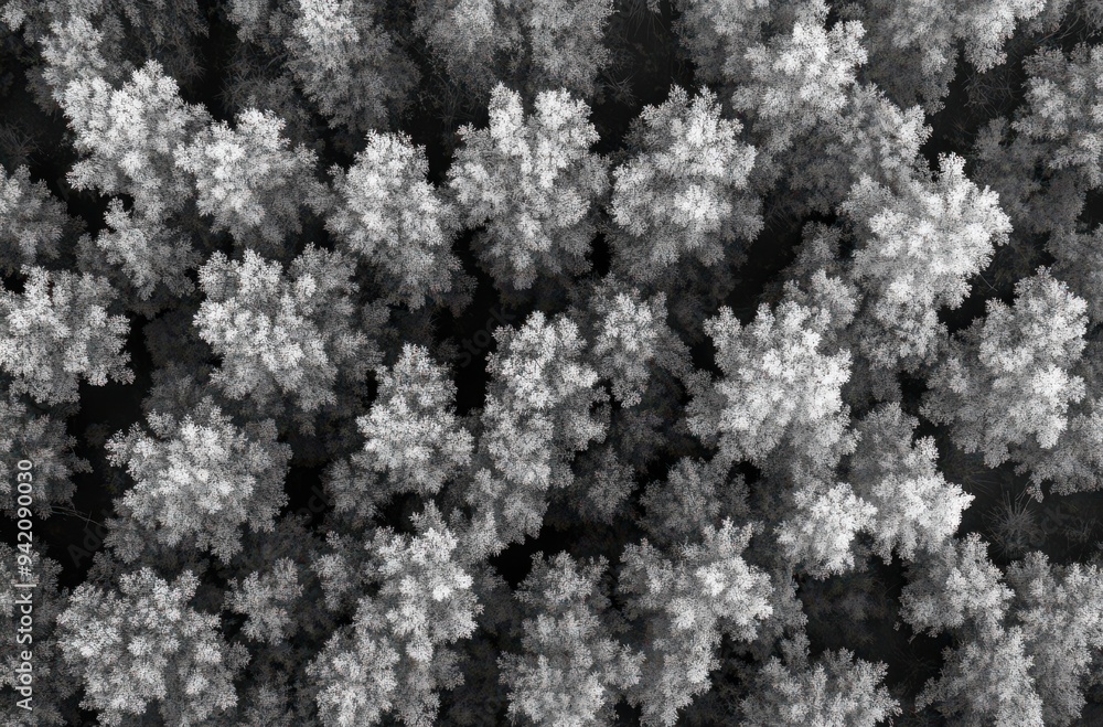 Abstract white tree-like texture on a black background Abstract white tree-like texture on a black background