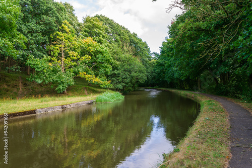 river in the forest