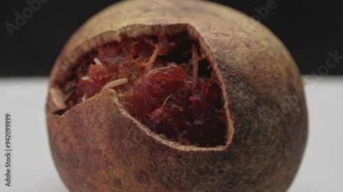 Macro close up of rotten beil fruit with worms and maggots 
 photo