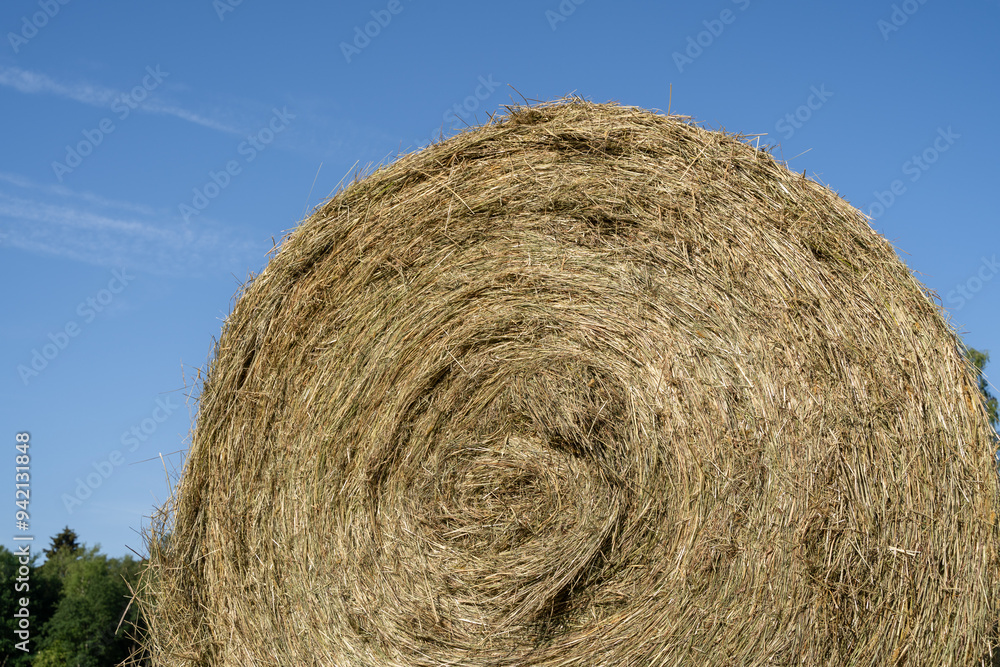 Hay bale in the country field in summer Hay bale in the country field in summer