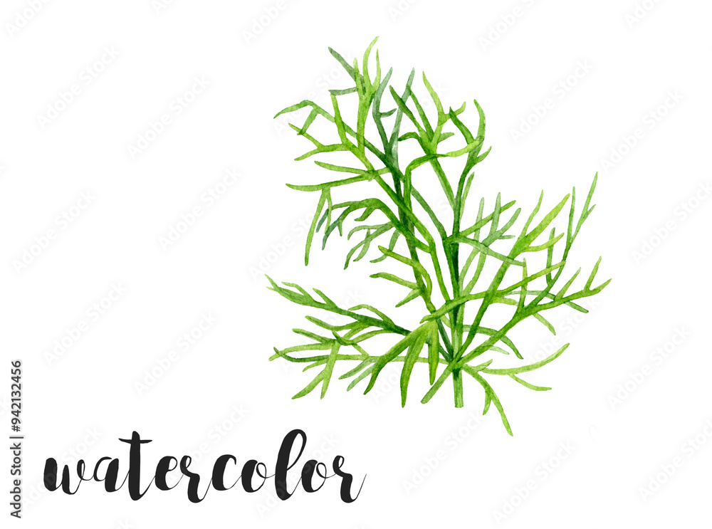 Obraz premium An Elegant Watercolor Illustration of Greenery Perfect Dill for EcoFriendly Design Projects