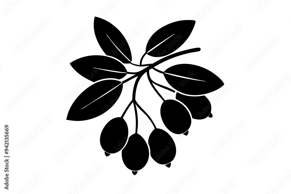 Vector design of barberry fruit on a white background Vector design of barberry fruit on a white background