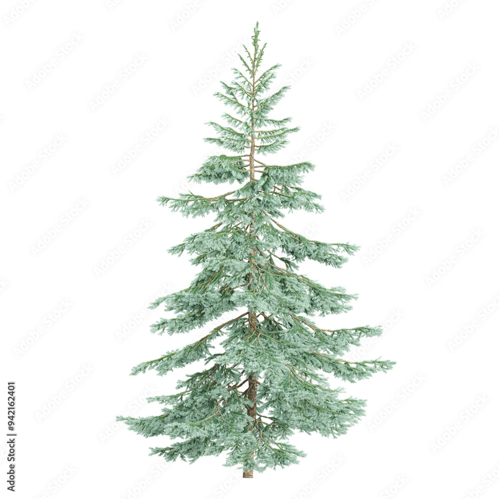 Bare Christmas tree isolated on transparent Canvas Bare Christmas tree isolated on transparent Canvas