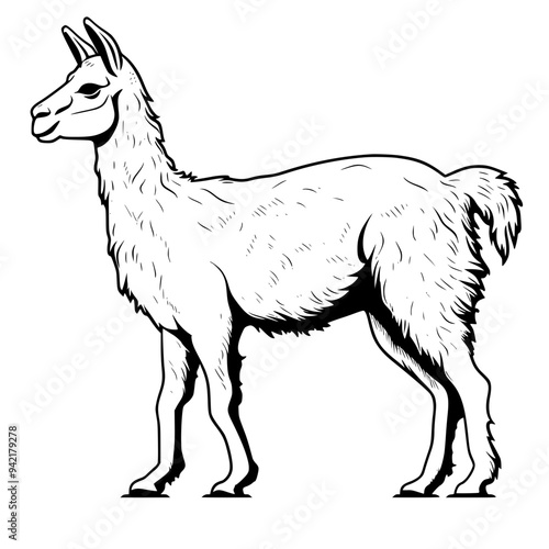Llama Vector
