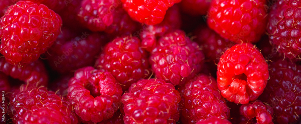 panoramic delicious photo of fruit, Close-up of raspberries, top fill frame, background, close-up view. Selective focus. panoramic delicious photo of fruit, Close-up of raspberries, top fill frame, background, close-up view. Selective focus.