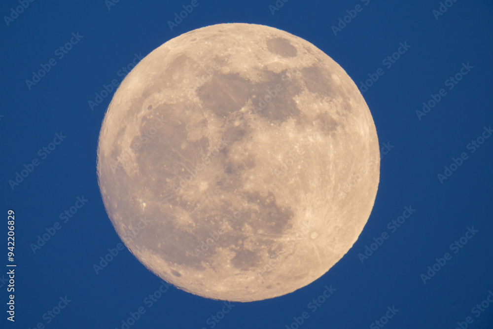 photograph of the full moon taken with a reflex camera
