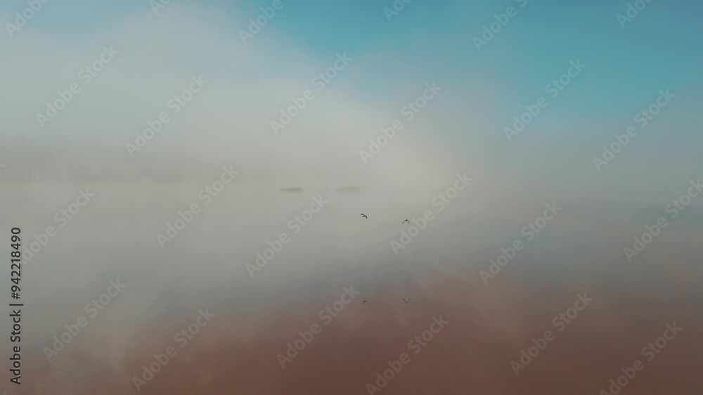 Intriguing drone flyover following the path of two birds through foggy clouds over a river in early morning sun. Blue sky and blurred horizon with trees in background. Shot on Dji Air 3 at 4K - 60fps. Intriguing drone flyover following the path of two birds through foggy clouds over a river in early morning sun. Blue sky and blurred horizon with trees in background. Shot on Dji Air 3 at 4K - 60fps.