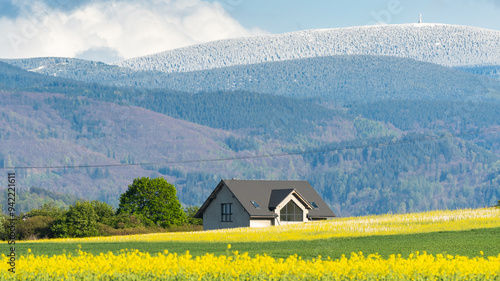 Fototapeta Naklejka Na Ścianę i Meble -  Mountain landscape in spring, sown fields of grain and rapeseed against the background of a snow-capped mountain peak.