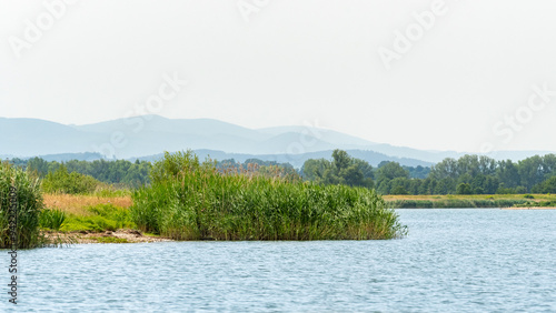 Fototapeta Naklejka Na Ścianę i Meble -  View of the mountains and the shore of the lake with tall reeds, landscape on a sunny summer day.