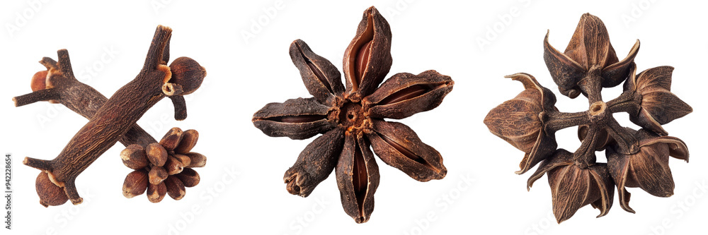Set of macro shot of a clove isolated on transparent background Set of macro shot of a clove isolated on transparent background