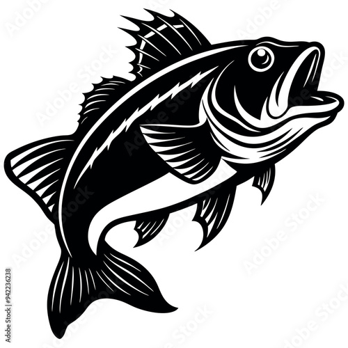 bass fish vector