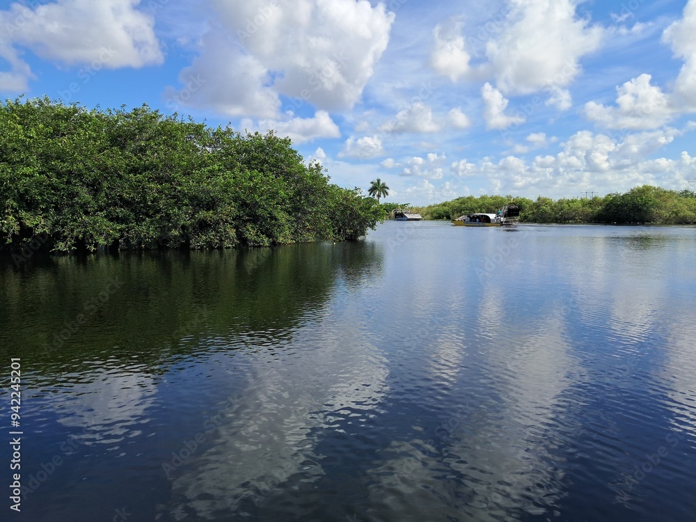 Swamp lagoon of trees with blue sky and clouds reflecting in the water Swamp lagoon of trees with blue sky and clouds reflecting in the water
