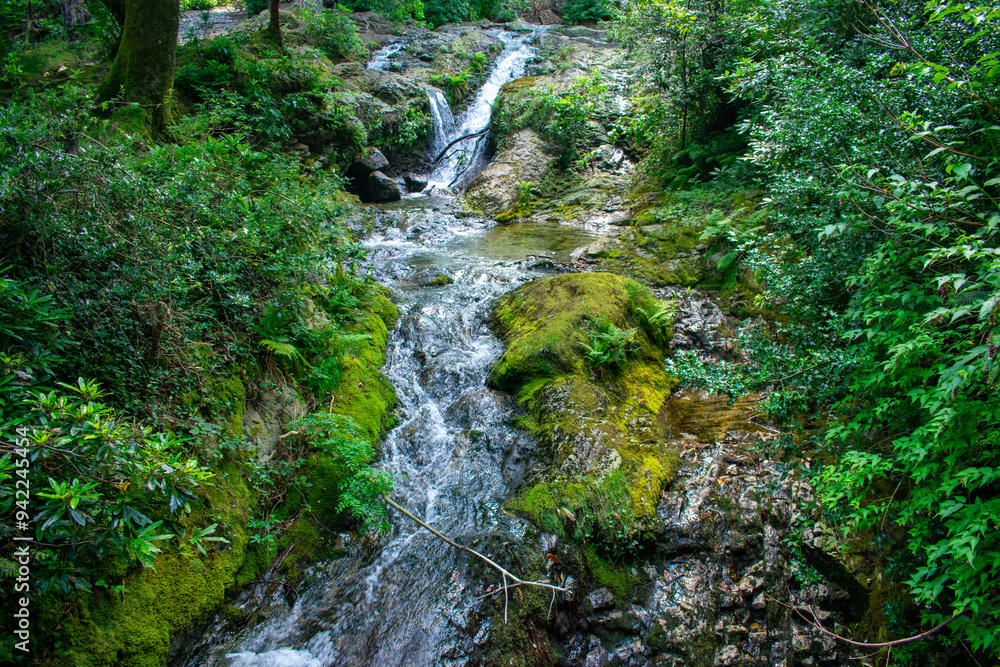 Stream and waterfall in Forest in Mourne mountains, Newcastle Northern Ireland Stream and waterfall in Forest in Mourne mountains, Newcastle Northern Ireland