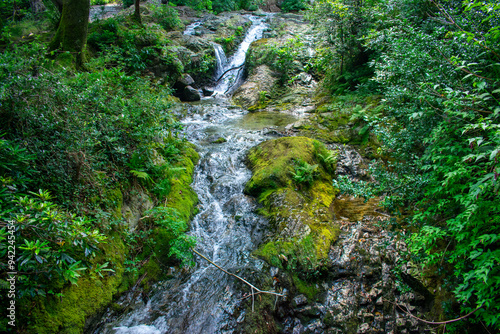 Stream and waterfall in Forest in Mourne mountains, Newcastle Northern Ireland