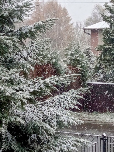 Snow covered tree. Photo winter trees in town. 