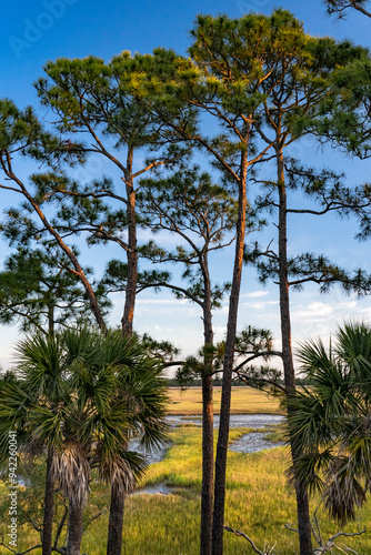 USA, South Carolina. Kiawah Island, early morning. photo