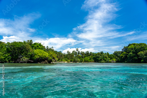 Stunning Tropical Island in Bocas del Toro, Panama with Crystal Clear Caribbean Waters, Lush Green Forest, and Vibrant Coastal Scenery, A Paradise for Nature Lovers and Eco-Tourism Enthusiasts