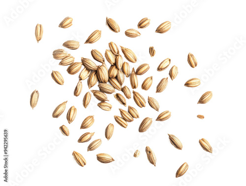 Scattered Barley Grains Isolated on PNG Background