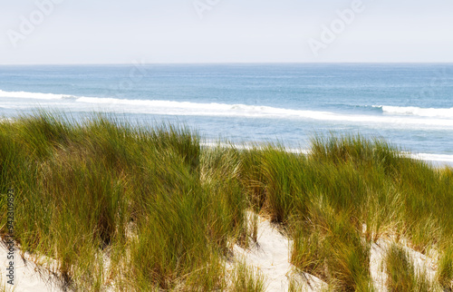 Sea Grass On Sand Dune With Ocean And Blue Sky