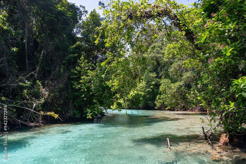 Naklejka premium Stunning Tropical Island in Bocas del Toro, Panama with Crystal Clear Caribbean Waters, Lush Green Forest, and Vibrant Coastal Scenery, A Paradise for Nature Lovers and Eco-Tourism Enthusiasts