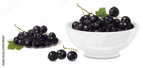 Fresh Black Currants Arranged in a Clean White Bowl, Showcasing Their Rich Color and Glossy Texture from Both Front and Top Views, Perfectly Captured for a Vibrant Fruit Display