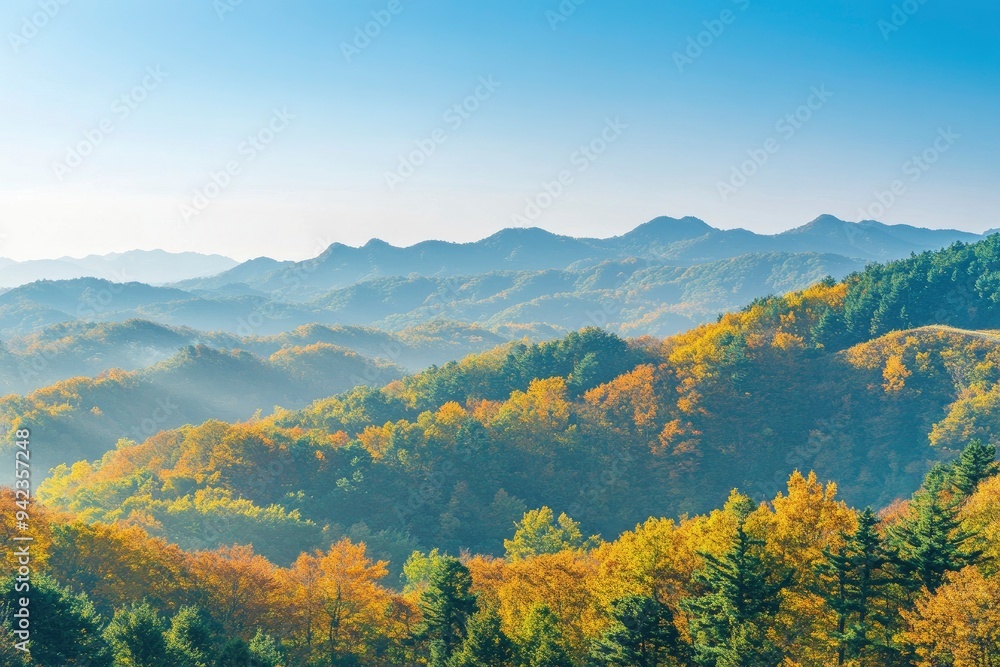 Green hills in Japan, morning, featuring a mountain landscape with trees in autumn colors green yellow orange under a clear blue sky, epitomizing serene natural beauty. SHOTLISTtravel , ai Green hills in Japan, morning, featuring a mountain landscape with trees in autumn colors green yellow orange under a clear blue sky, epitomizing serene natural beauty. SHOTLISTtravel , ai