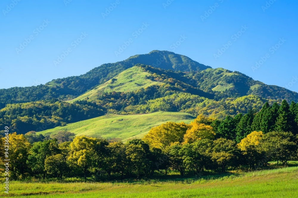 Obraz premium Green hills in Japan, morning, featuring a mountain landscape with trees in autumn colors green yellow orange under a clear blue sky, epitomizing serene natural beauty. SHOTLISTtravel , ai