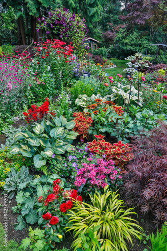 USA, Washington State, Sammamish. Summer perennial flower garden with cone flowers, zinnias. Beebalms, Rebecca. Coleus, Japanese grasses and lawn art