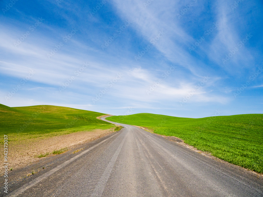 USA, Washington State, Palouse. Road winding through summer crops. USA, Washington State, Palouse. Road winding through summer crops.