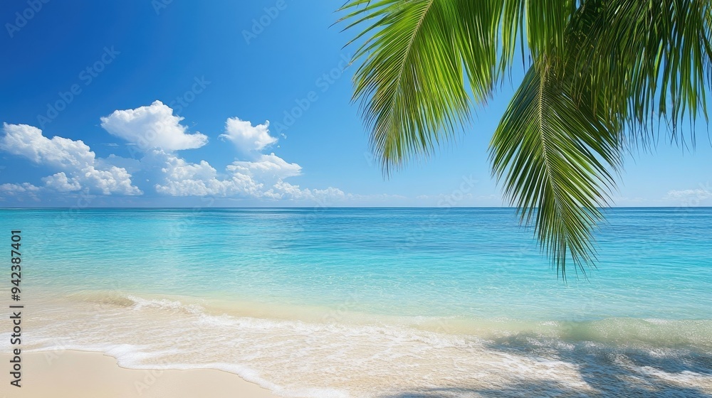 tropical photography backgrounds tropical photography backgrounds