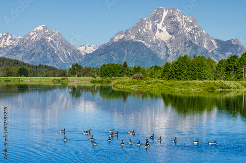 Small lake in Grand Teton National Park, Wyoming, USA. photo