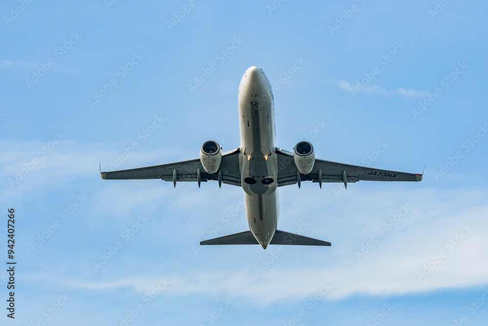 Naklejka premium 空を飛ぶ飛行機