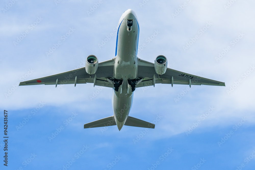 Obraz premium 離陸する飛行機