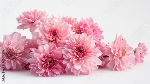 Fototapeta Naklejka Na Ścianę i Meble -  Pink flowers bunch on white background