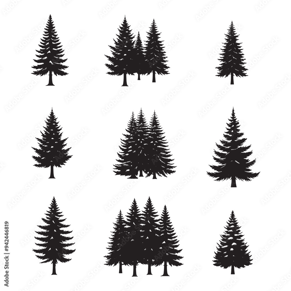 set of pine trees silhouettes on white set of pine trees silhouettes on white