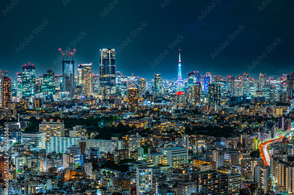 Fototapeta premium 日本の首都東京の夜景
