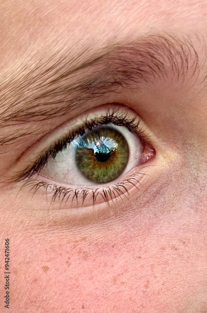 Fototapeta premium Hazel eyes