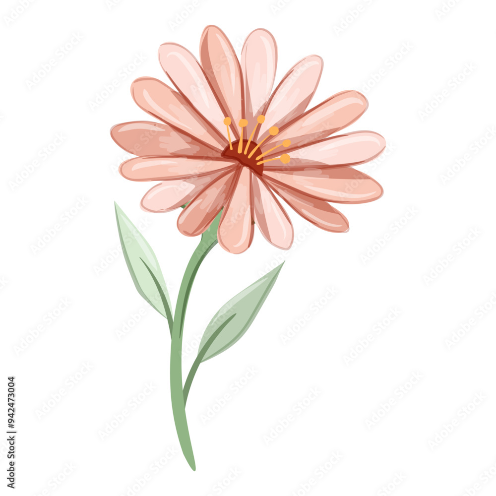 Watercolor Flower and Leaf Illustration Watercolor Flower and Leaf Illustration