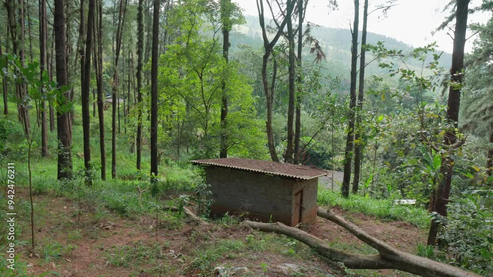Very Small old house in the forest in Sri Lanka
Very Small old house in the forest in Sri Lanka