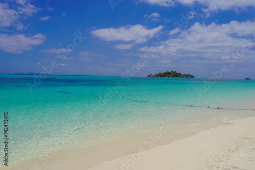 beach with coconut trees