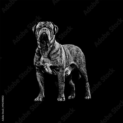 Dogue De Bordeaux hand drawing vector isolated on black background.