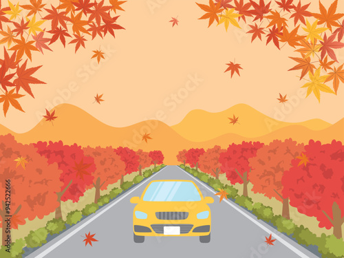 もみじ並木を走る車
