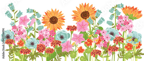 vector drawing garden summer flowers at white background, hand drawn botanical illustration