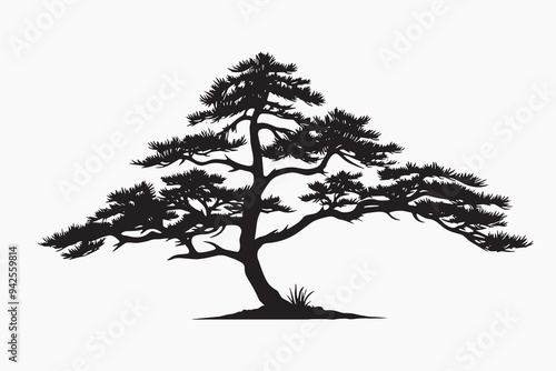 Elegant bonsai tree silhouette art