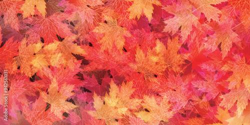 紅葉　葉　秋　背景	