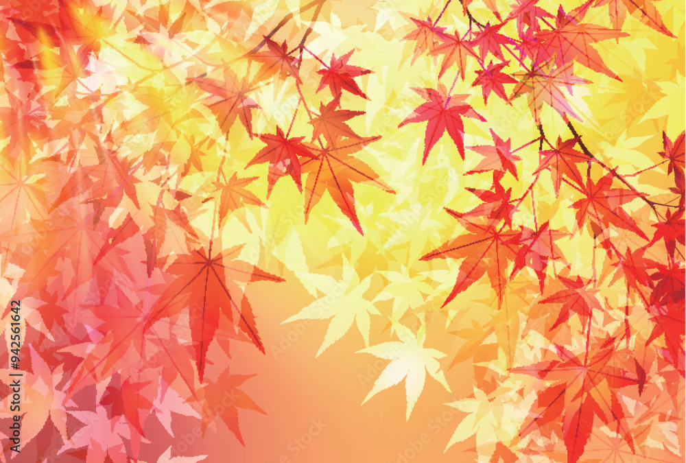 紅葉 葉 秋 背景 紅葉 葉 秋 背景