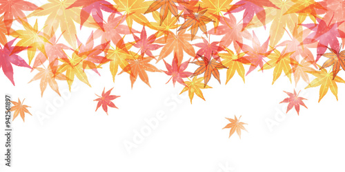 紅葉　葉　秋　背景	