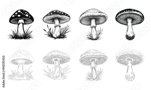 Black and white mushrooms set. Outline design. Decorative style collection hand-drawn