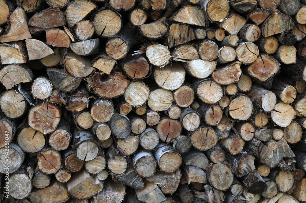 A pile of firewood stacked and prepared for winter. A pile of firewood stacked and prepared for winter.