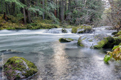 The sun reflects off the water of the Dungeoness River in the Olympic National park